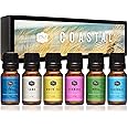 P&J Trading Fragrance Oil Coastal Set | Salty Sea, Sand, Moss, White Tea, Verbena, Seashore Candle Scents for Candle Making, Freshie Scents, Soap Making Supplies, Diffuser Oil Scents