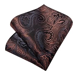 DiBanGu Silk Paisley Ties for Men Woven Necktie and