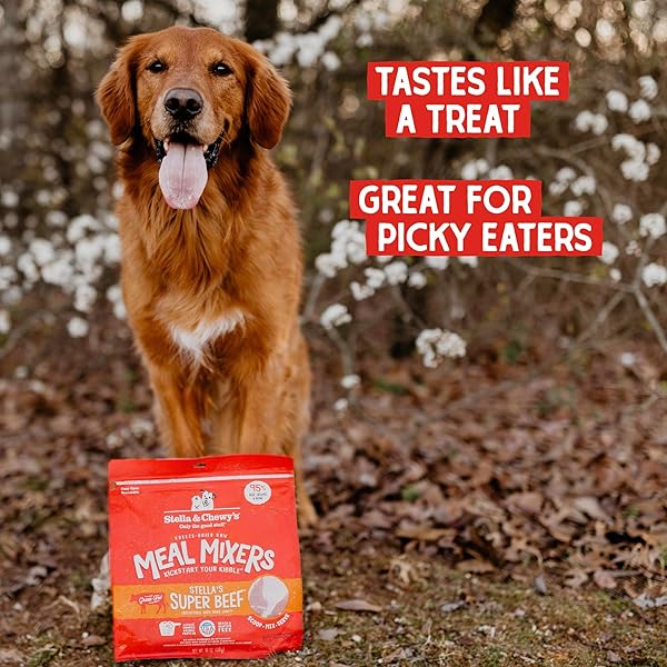 STELLA & CHEWY’S FREEZE DRIED RAW SUPER BEEF MEAL MIXER – DOG FOOD TOPPER FOR SMALL & LARGE BREEDS – GRAIN FREE, PROTEIN RICH RECIPE – 3.5 OZ BAG