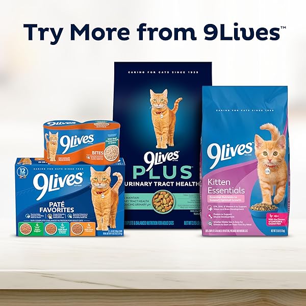 9LIVES INDOOR ESSENTIALS DRY CAT FOOD FOR ADULT CATS WITH CHICKEN & SALMON FLAVORS, 3.15 LB. BAG (PACK OF 4)