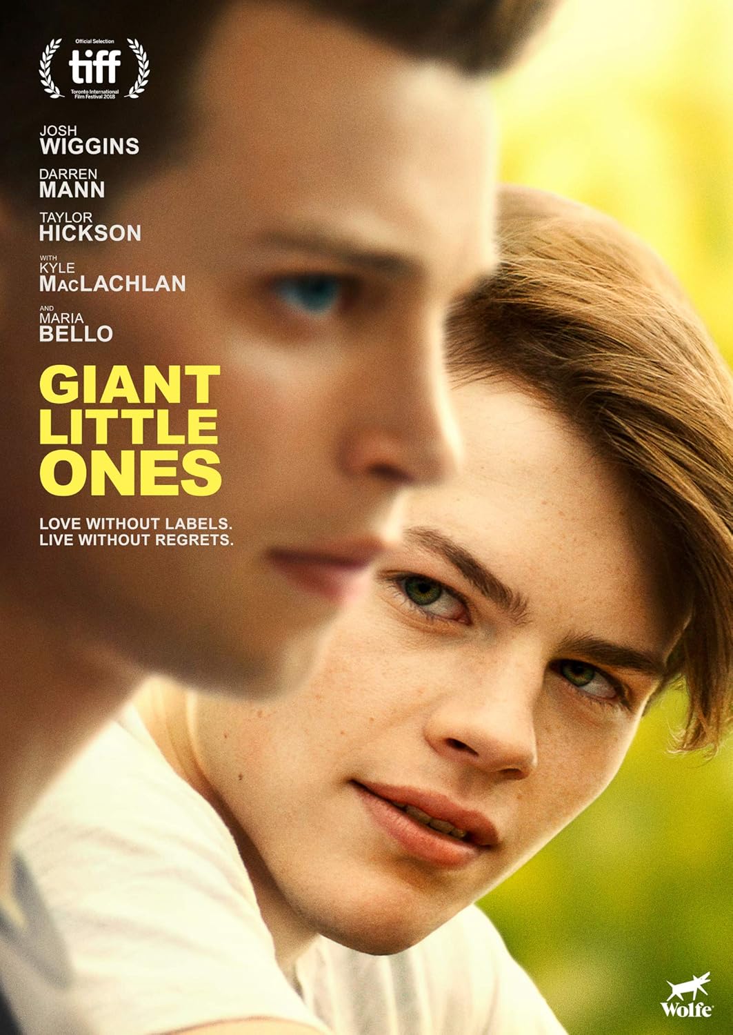 Which Is The Best Little Gian 5 Ft Flip And Lite Ladder 300 Bls