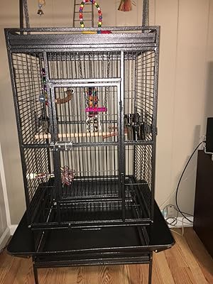 parrot cage kijiji