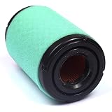 Briggs and Stratton 5428K Air Filter with Pre-Cleaner