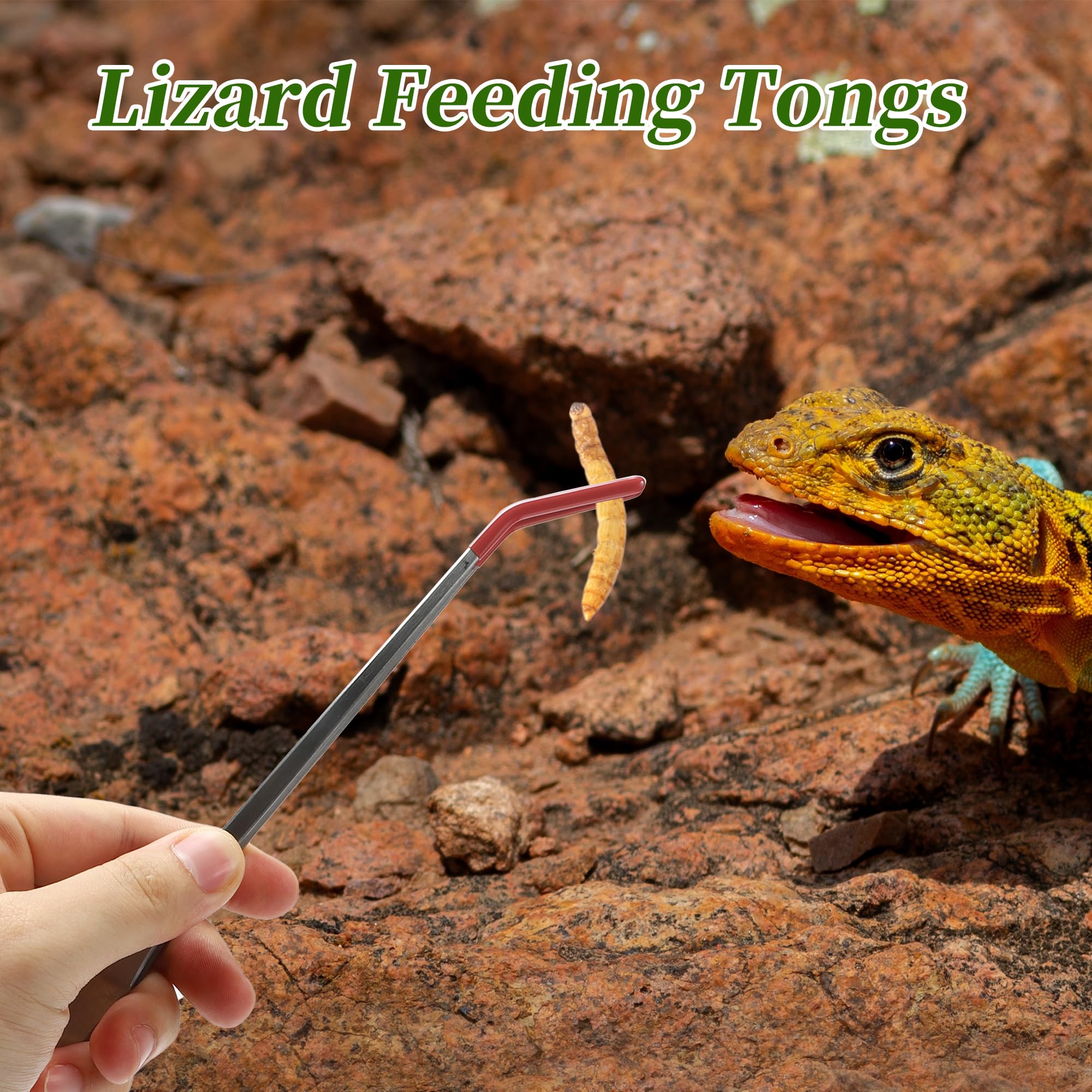 View 5