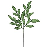 Vickerman 22" Green Glitter Bayleaf Artificial