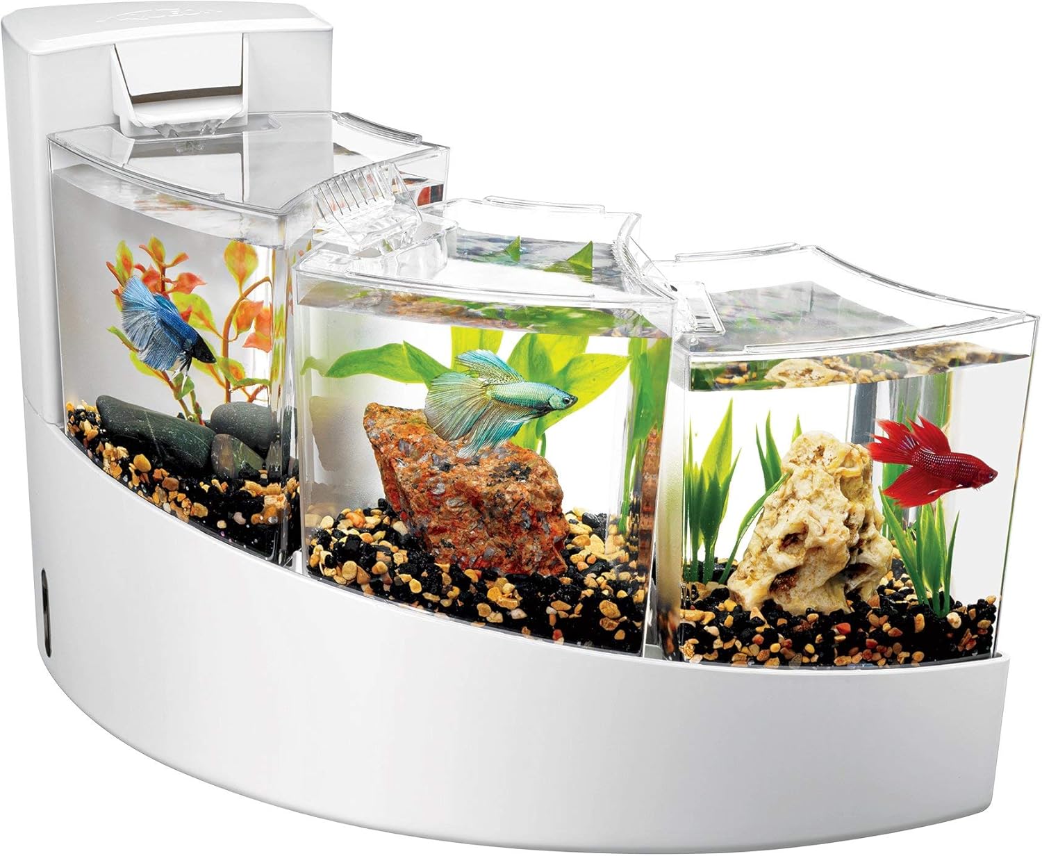 pet fun feeder