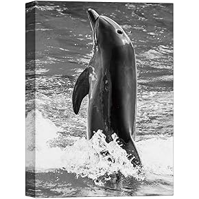 SIGNWIN Canvas Wall Art A Dolphin Standing in...