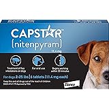 best fast acting flea treatment for dogs