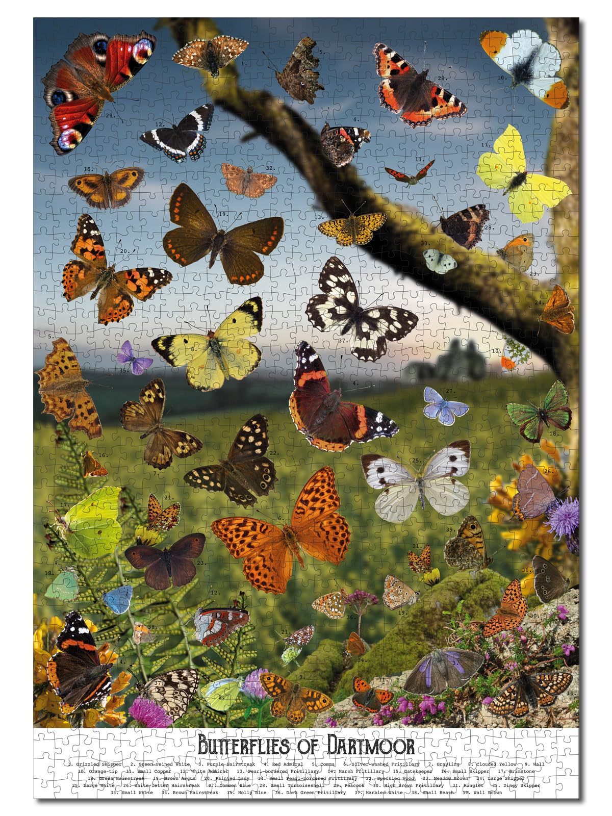 1000 Piece Butterfly Jigsaw Puzzle for Adults | Dartmoor National Park Nature Puzzle | Wildlife & Devon Gift | Art Collage-Inspired Puzzle for Nature Lovers |1000 Piece Jigsaw Puzzle