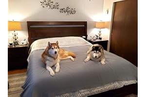 SILLY LEGACY Thin Reversible Waterproof Protective Cover or Liner for Bed or Couch, for Dogs and Cats, Babies; Incontinence, Dirt, Drool