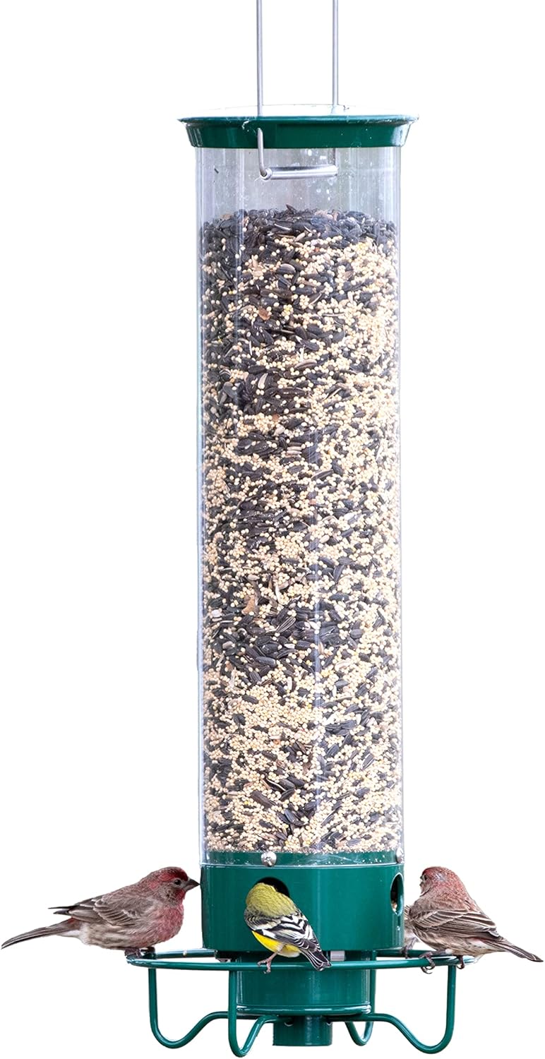 Backyard Birding & Wildlife - Droll Yankees YF-M Yankee Flipper Squirrel-Proof Wild Bird Feeder With Weight Activated Rotating Perch - 5Lbs Seed Capacity