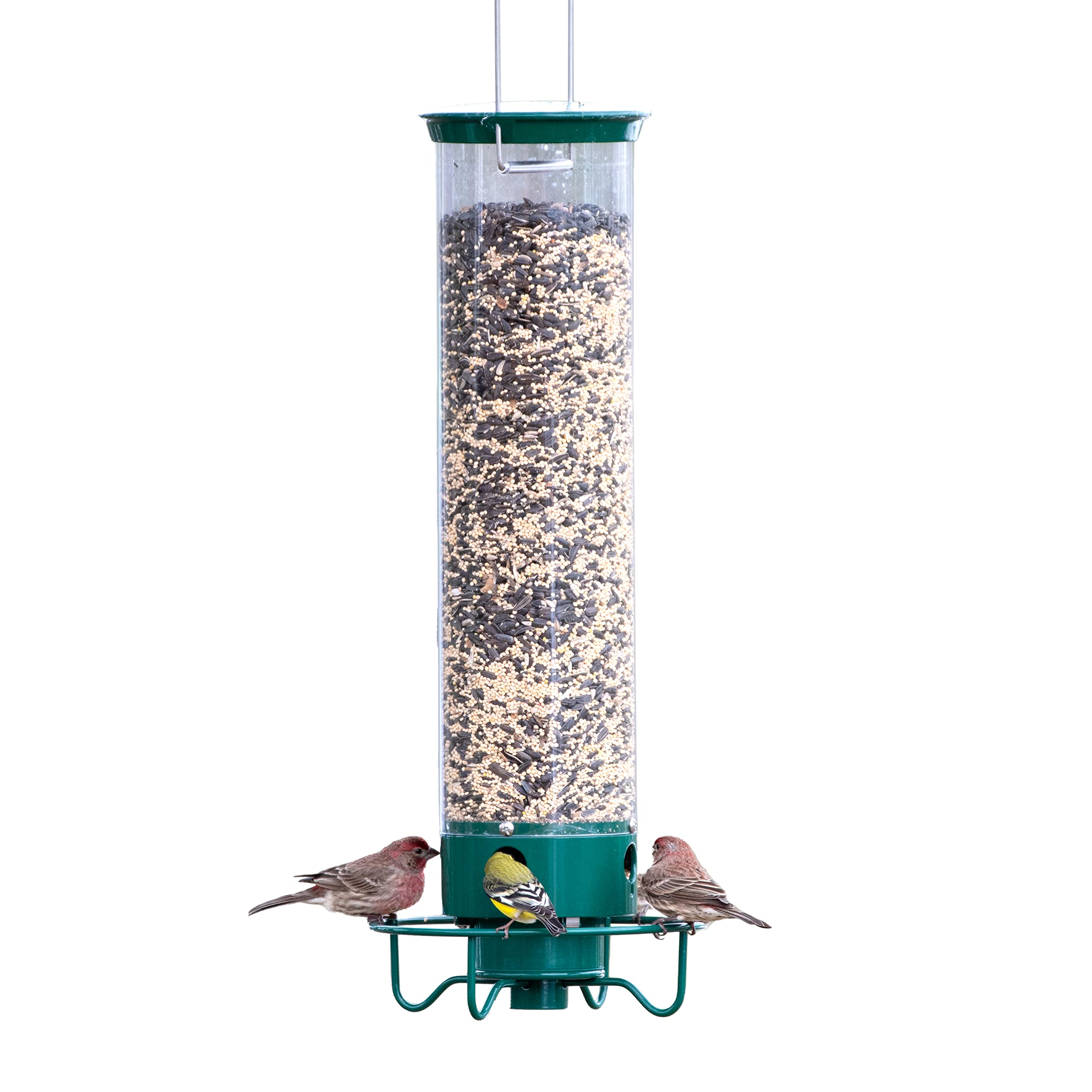 Mua Droll Yankees YF-M Yankee Flipper Squirrel-Proof Wild Bird Feeder ...