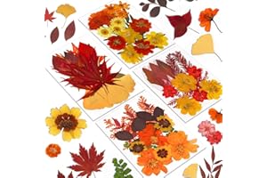 Augshy Fall Pressed Flowers, 72 Pcs Natural Orange Dried Flowers Leaves for Resin Molds Real Red Brown Yellow Pressed Leaves 