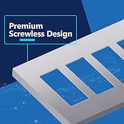LIDER Matte Finish Decorator Switch