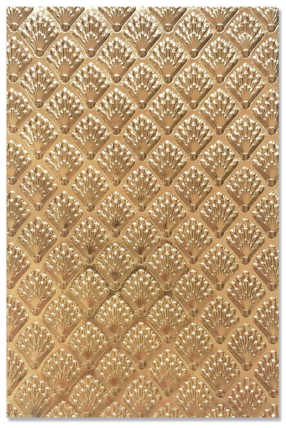 Sizzix 3-D Textured Impressions Embossing Folder-Shells by Jessica Scott, 664514, Multicolor, One Size