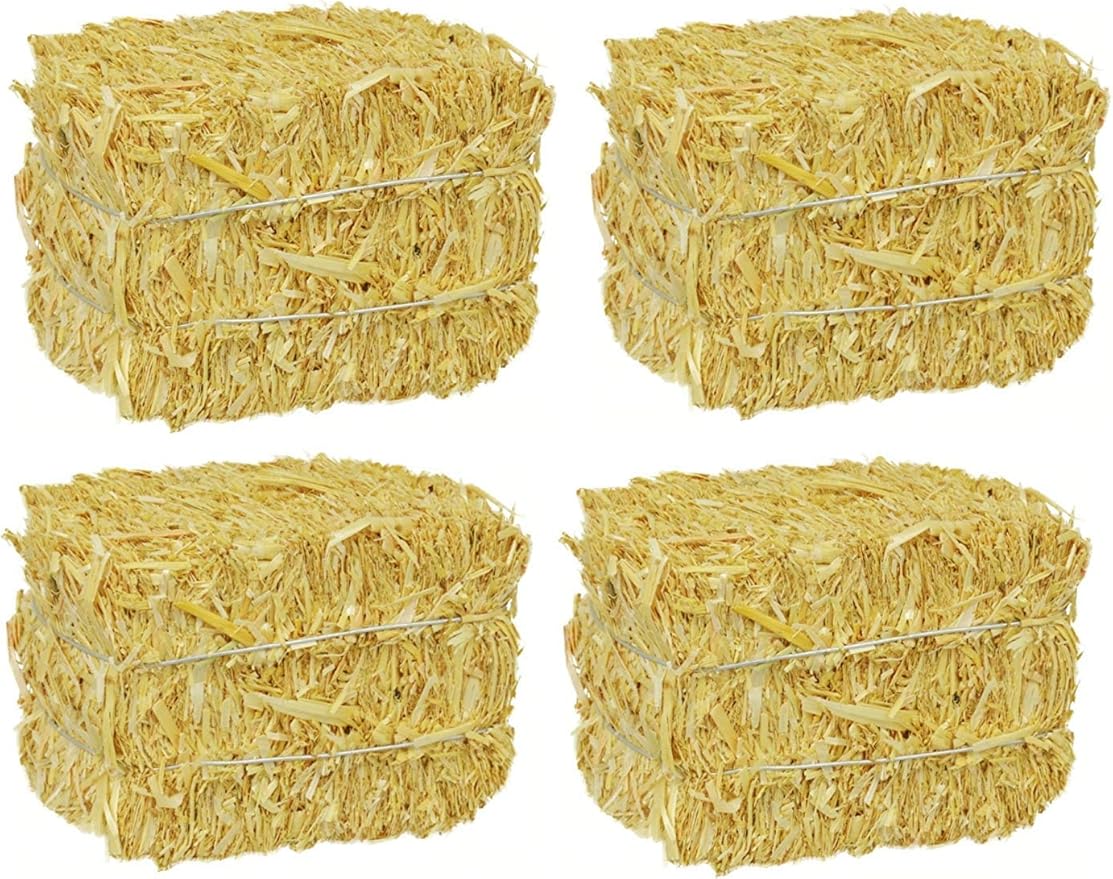 Amazon Com Fall Thanksgiving Harvest Mini Straw Hay Bale Sunni Sunflowers Natural Decorations Home Craft Display Bundle Of 4 Kitchen Dining Amazon Com Fall Thanksgiving Harvest Mini Straw Hay Bale Sunni Sunflowers Natural Decorations Home Craft Display Bundle Of 4 Kitchen Dining
