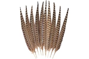 FeelfunFeather 5pcs Pheasant Feather 16-18inch 40-45cm Natural Male Ringneck Tails Feathers for DIY Crafts Home Wedding Party Carnival Decoration
