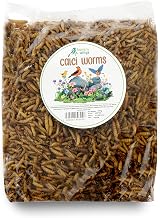 Hungry Wings Wild Bird Food 250g Calci Worms - Premium Bird Feed