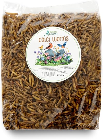 Hungry Wings Wild Bird Food 250g Calci Worms - Premium Bird Feed