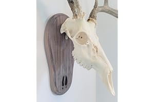 TTW Weathered Wood Deer Track Skull Mount
