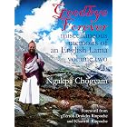 Goodbye Forever - Volume Two