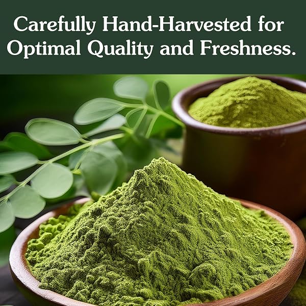 ANCIENT ROOTS MORINGA POWDER 100% PURE & NATURAL, NON-GMO, GLUTEN-FREE FINELY GROUND MORINGA LEAF FOR SMOOTHIES, TEAS, AND RECIPES 10.5 OZ RESEALABLE BAG