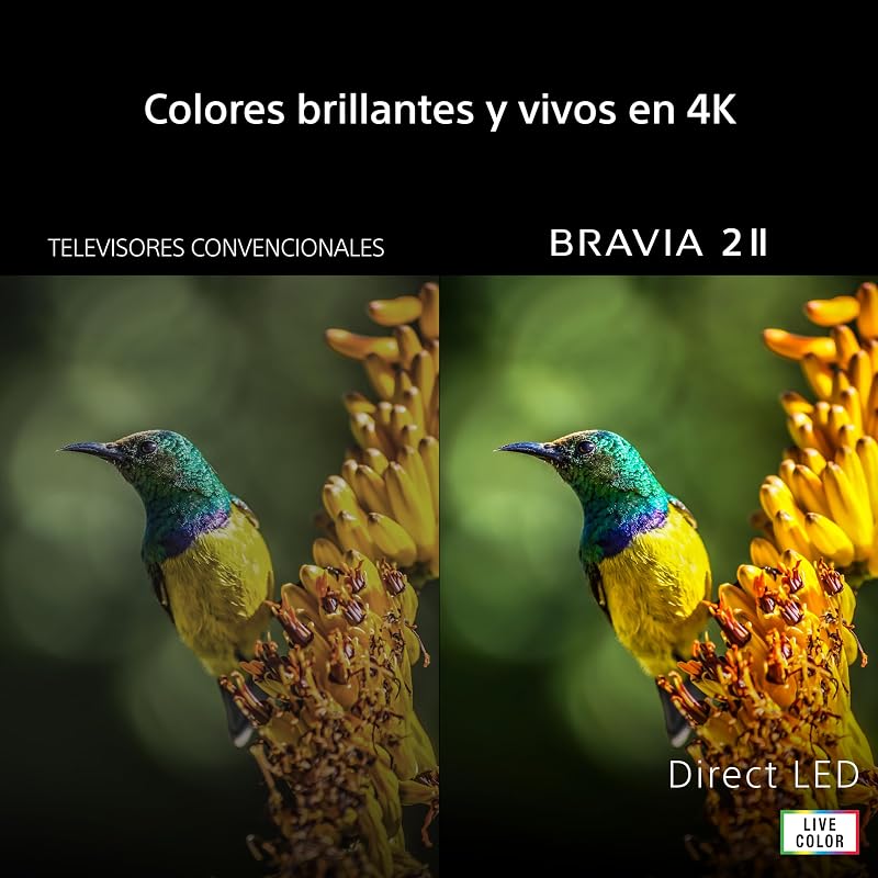 BRAVIA 2 II 75 Pulgadas TV 4K Smart TV (Google TV), Procesador X1, Escalado 4K, Dolby Atmos y DTS:X, Compatible con PS5, 75S20M2, Modelo 2026