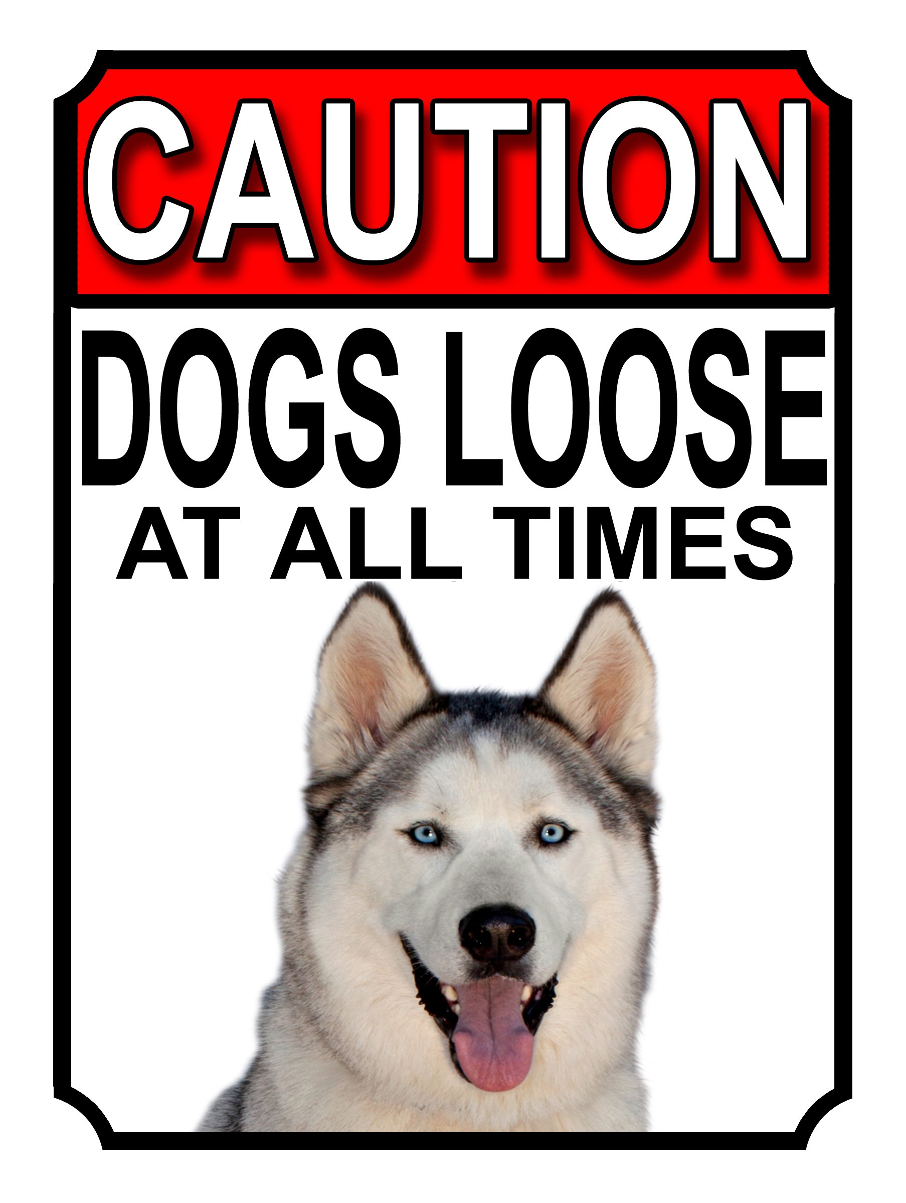 SHAWPRINT CAUTION DOGS LOOSE AT ALL TIMES METAL GATE SIGN ALASKAN MALAMUTE 200MM X 150MM (1168H1) โ image 1