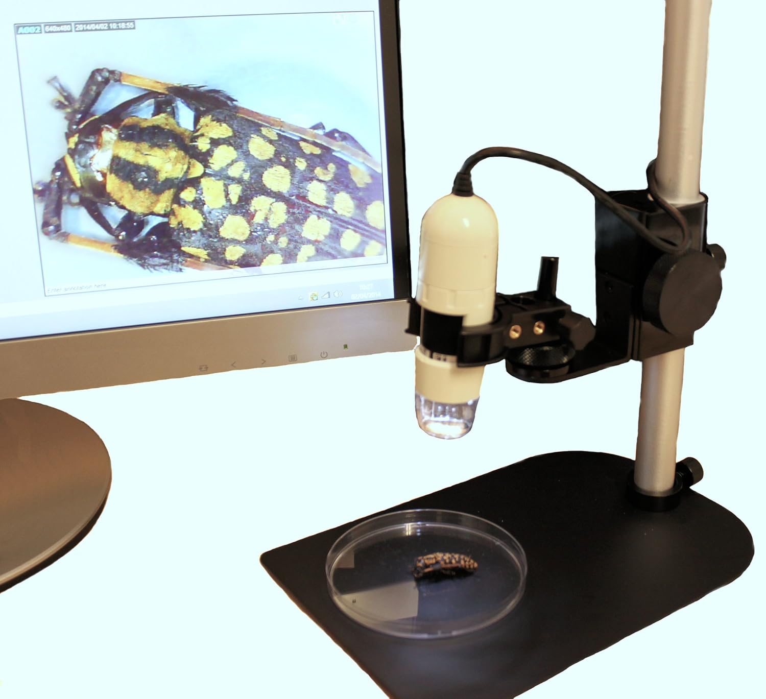 DINOLITE USB Digital Microscope, 10x50x & 200x mag. 0.3MP resolution