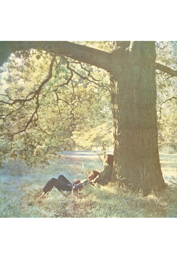 Amazon.com: Imagine & Plastic Ono Band (2LP): CDs & Vinyl