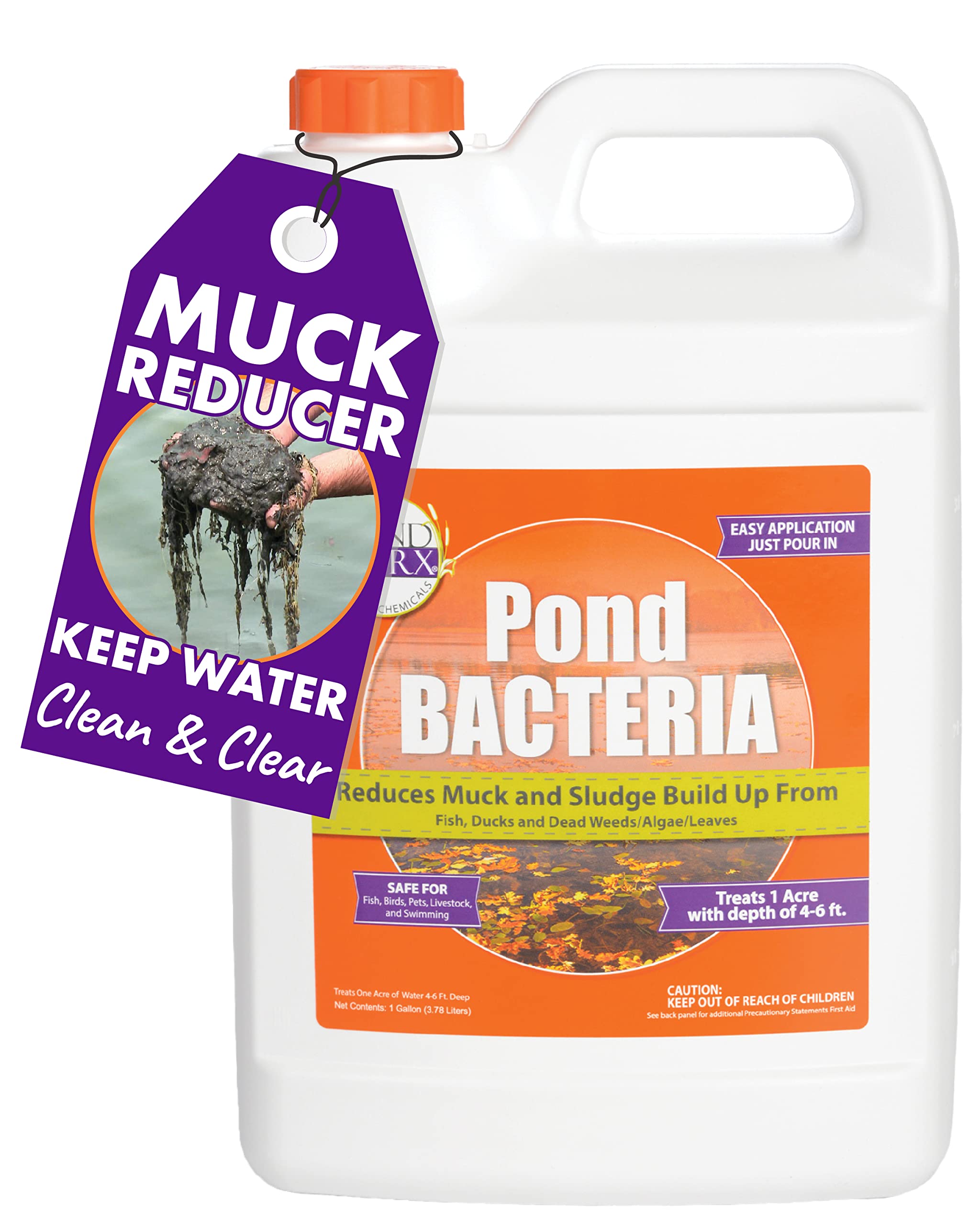 PondWorx Pond Bacteria - Formulated For Large Ponds, Water Features And Safe For Koi - Orange 1 Gallon