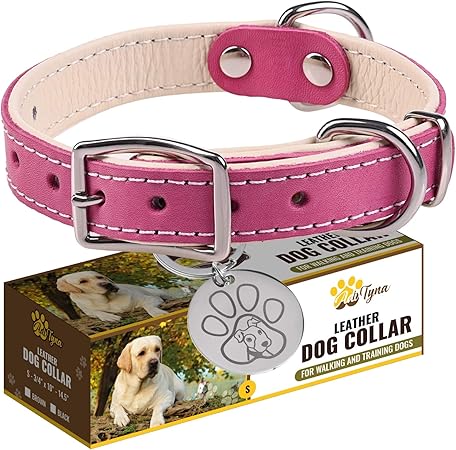 best sturdy dog collars