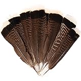 Natural Turkey Tails Feathers 8-10inch
