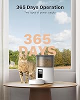 BEMOONY Automatic Cat Feeder 3L 1-6 Meals Dual Power 10s Voice White view 7