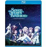 Seven Senses Of The Reunion