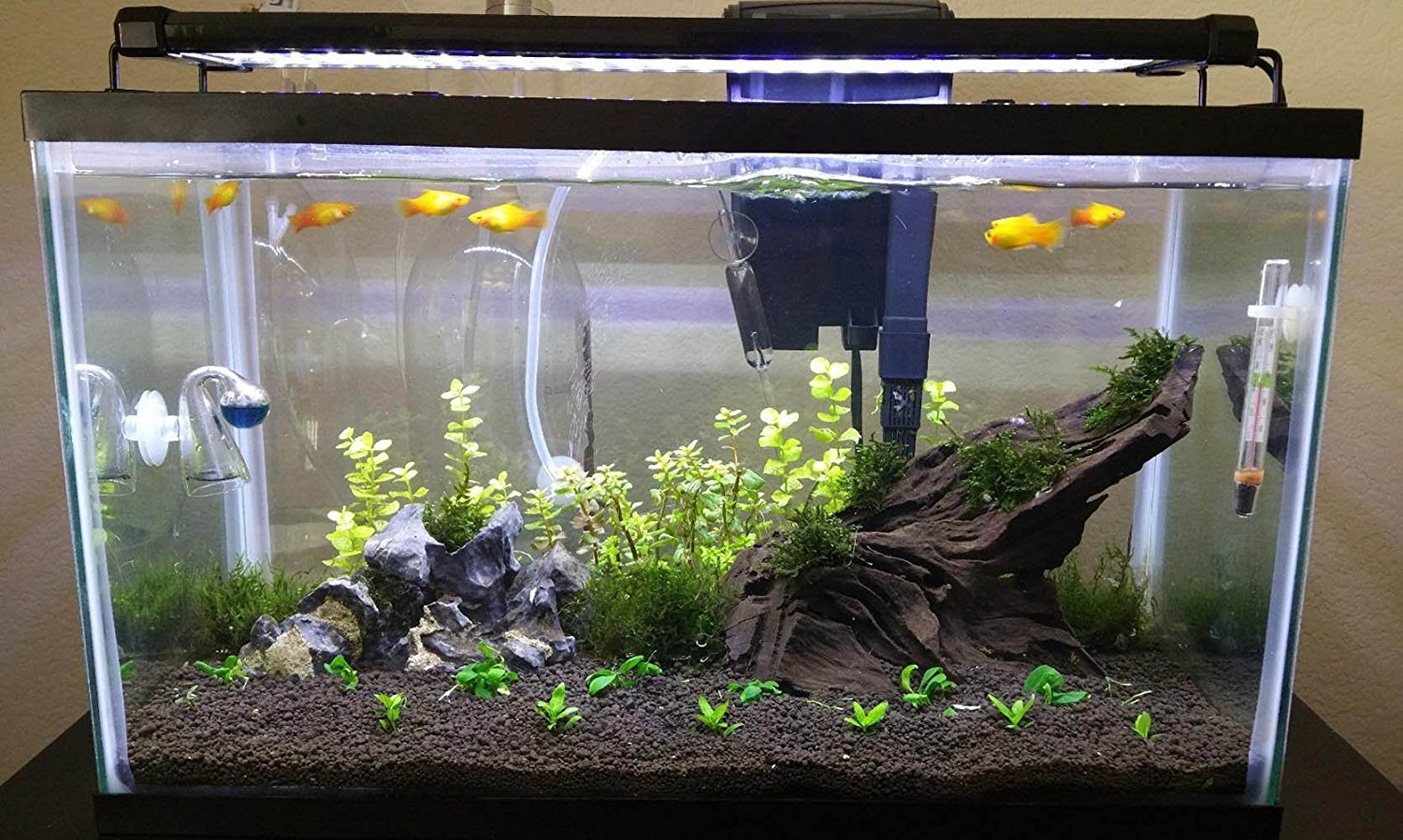 Rampe Led Aquarium Maison - Ventana Blog