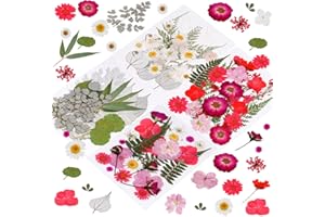 Rbenxia 109Pcs Dried Pressed Flowers Real Dried Flower Leaves Vacuum Packed DIY Pressed Flowers with Tweezers for DIY Candle 