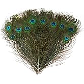 MWOOT 30Pcs Peacock Feathers, Green Peacock Eye Feathers for DIY Crafts Art, Peacock Tail Feathers for Carnival Revelry Masqu