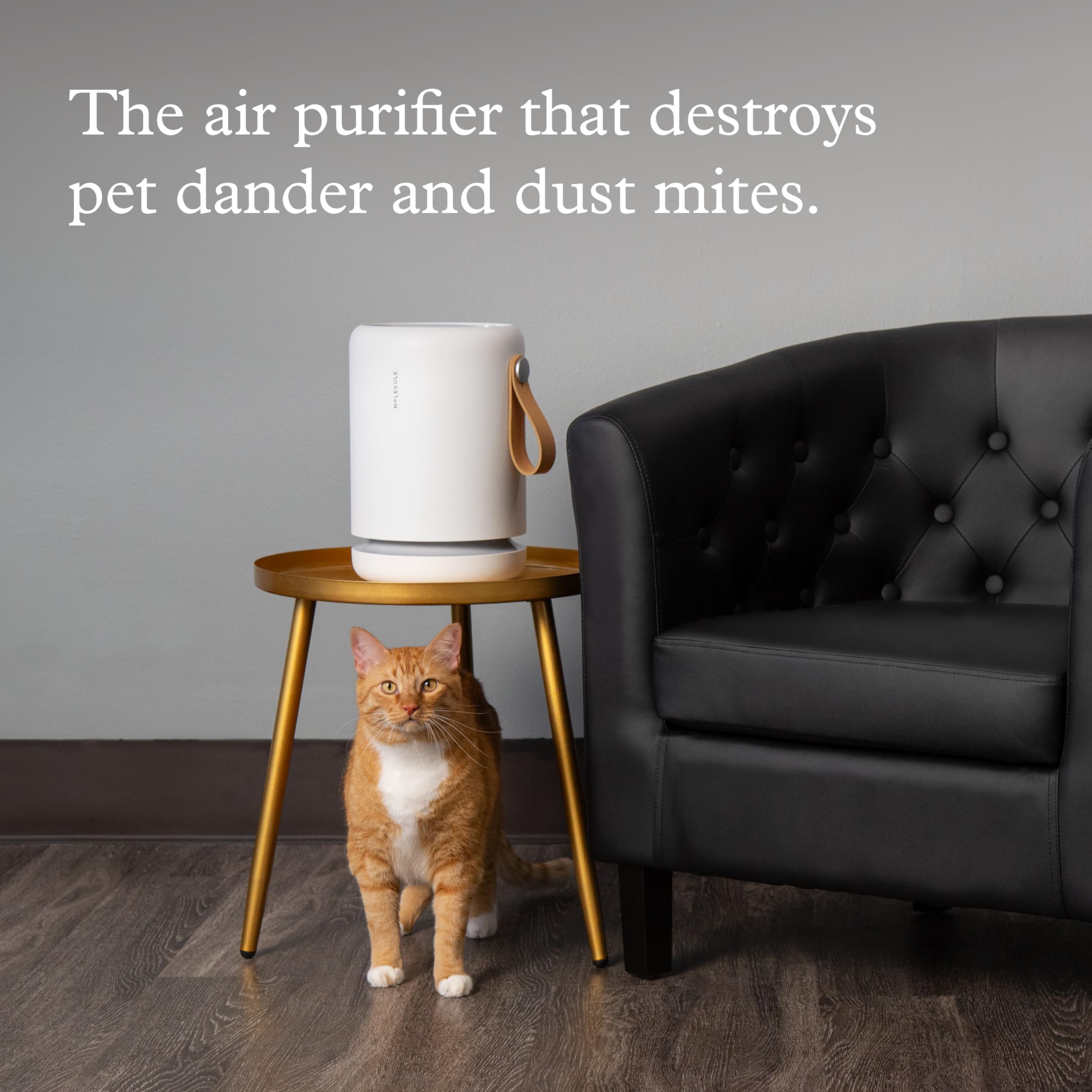 Molekule Air Purifier Mini+ - Purifies Rooms Up to 250 Sq Ft - Smart Purifier with High Pollutant Capture Rate - Air Quality Monitoring Capabilities - White