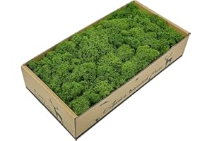 PEXTIAN Preserved Reindeer Moss, 8oz Artificial Moss for Indoor Plants, Green Faux Moss Wall Decor for Potted Plant, Art, Terrariums, Craft, Wedding, Home, Garden, DIY Project, Floral Arrangements Decoration