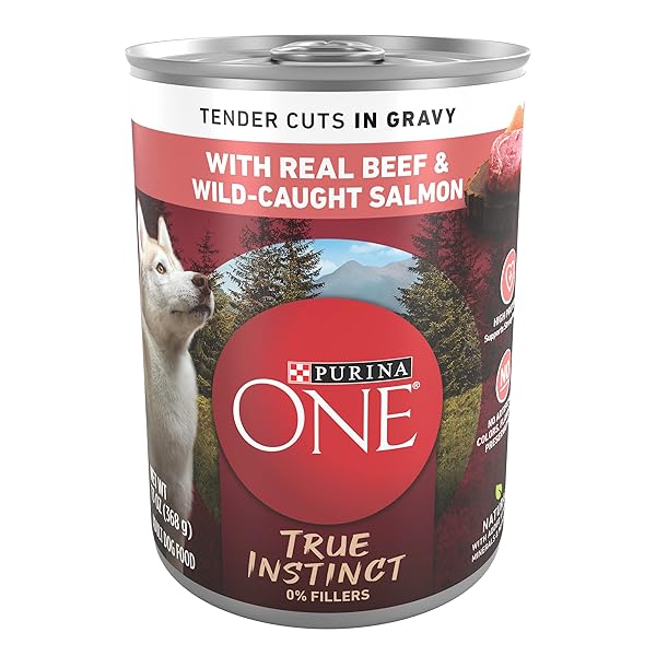 PURINA ONE HIGH PROTEIN WET DOG FOOD TRUE INSTINCT TENDER CUTS IN DOG FOOD GRAVY WITH REAL BEEF AND WILD-CAUGHT SALMON – (PACK OF 12) 13 OZ. CANS