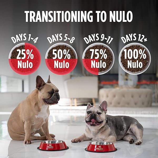 NULO FREESTYLE ADULT TRIM DRY DOG FOOD – HIGH PROTEIN GRAIN FREE DOG FOOD FOR HEALTHY WEIGHT MANAGEMENT, NATURAL KIBBLE WITH PROBIOTICS, L-CARNITINE AND FIBER FOR SMALL, MEDIUM, LARGE BREEDS, 6LB BAG
