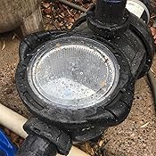 Amazon.com: Hayward SPX4000DLT Strainer Cover Replacement