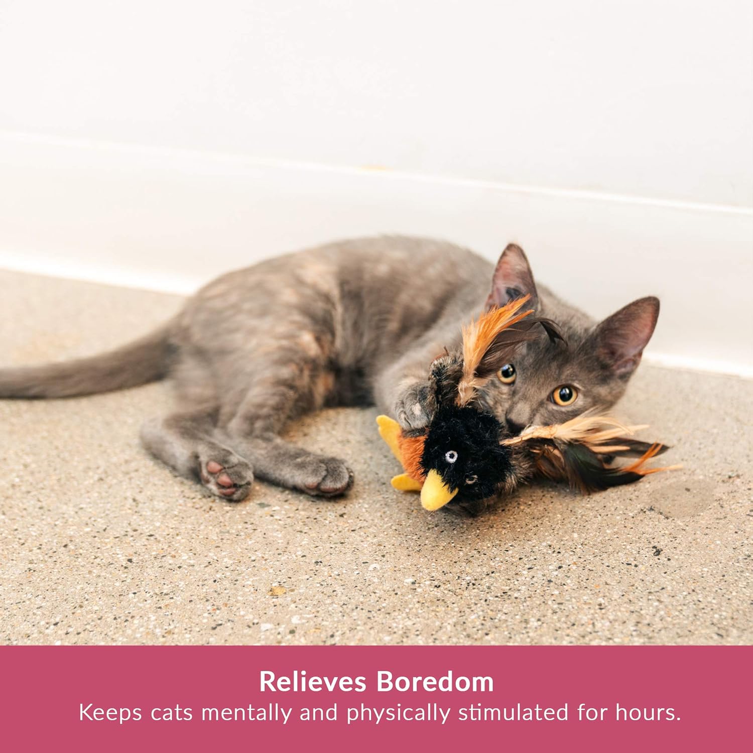 Pet Craft Supply Co. Batty Bird & Quirky Quail Funny Cuddling Chasing Irresistible Stimulating Soft Plush Boredom Relief Interactive Catnip Filled Cat Toy with Realistic Feathers 2 Pack : Pet Supplies