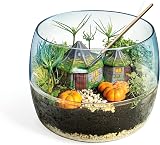 Clementoni Harry Potter Terrarium Kit | Build Magical Greenhouse | Science Toy view 4