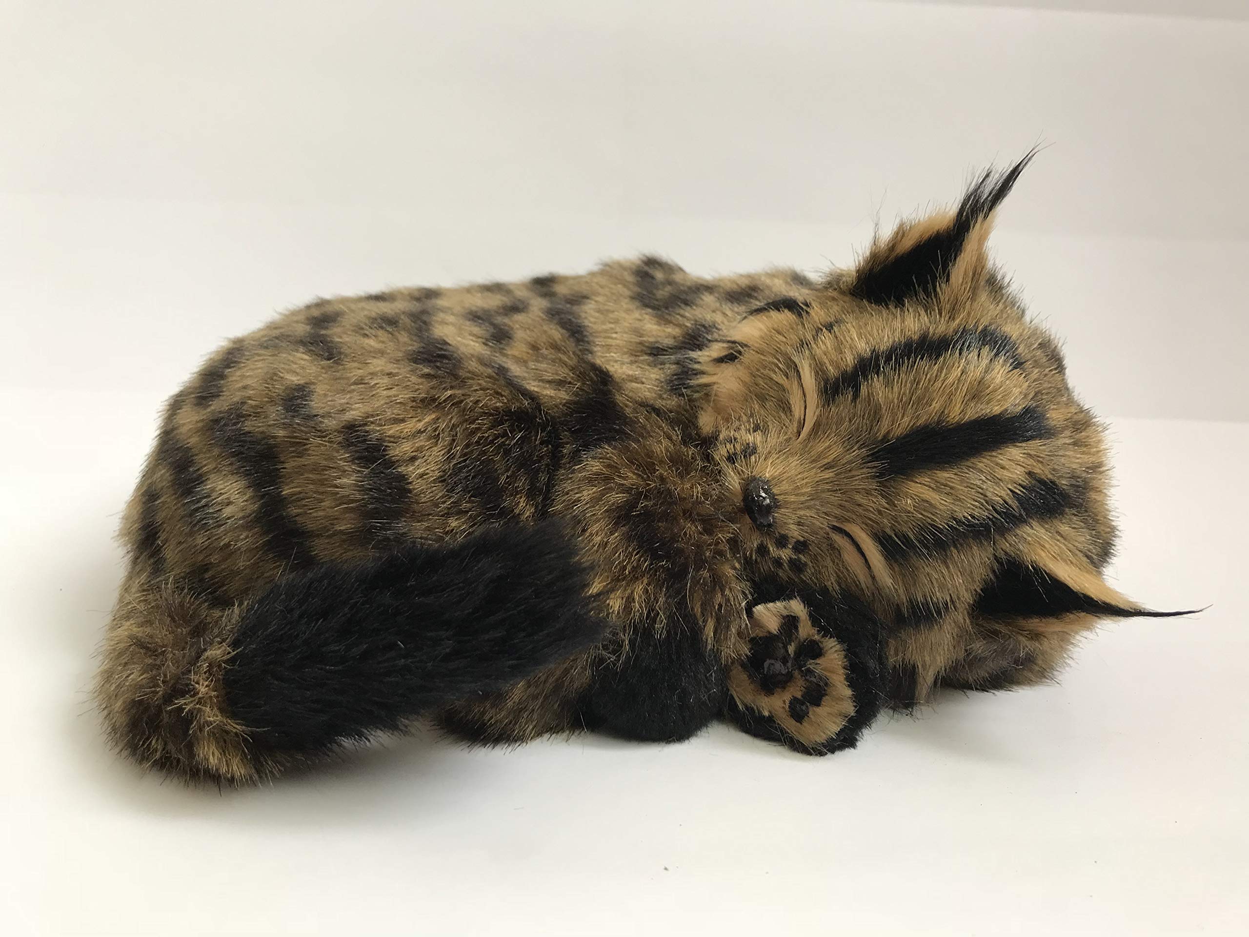 Perfect Petzzz Maine Coon Cat The Original Breathing Pet New Huggable