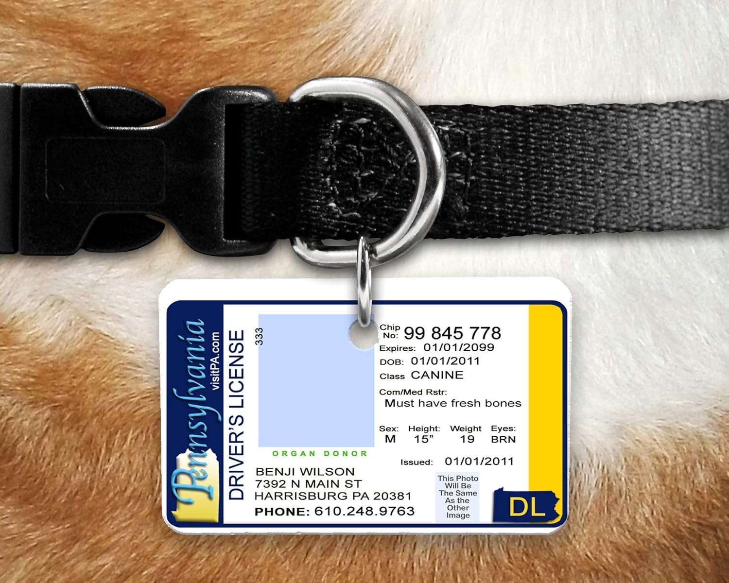 Amazon Com Custom And Personalized Pa Pet Identification Tag With A Photo Inspired By The Pa Drivers License Handmade
