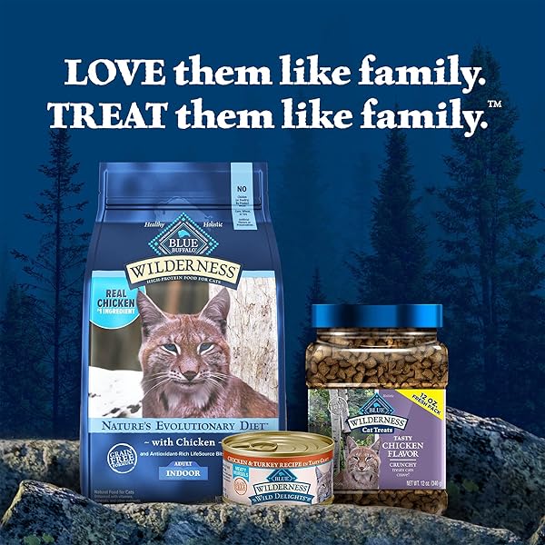 BLUE BUFFALO WILDERNESS CRUNCHY CAT TREATS, GRAIN-FREE TREATS FOR CATS MADE WITH NATURAL INGREDIENTS, GREAT FOR TRAINING, TASTY CHICKEN FLAVOR, 12-OZ. TUB
