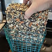 Amazon.com : Audubon Park 11931 Woodpecker Seed Cake, 2-Pounds, 1-Pack