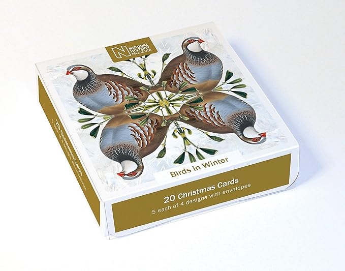 Christmas Theme Boxed Cards 20 Cards, 4 Designs Birds in Winter